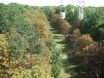 Chairlift at Gorky Park