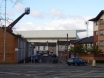 Vetch Field