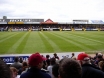 Vetch Field