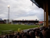 Vetch Field