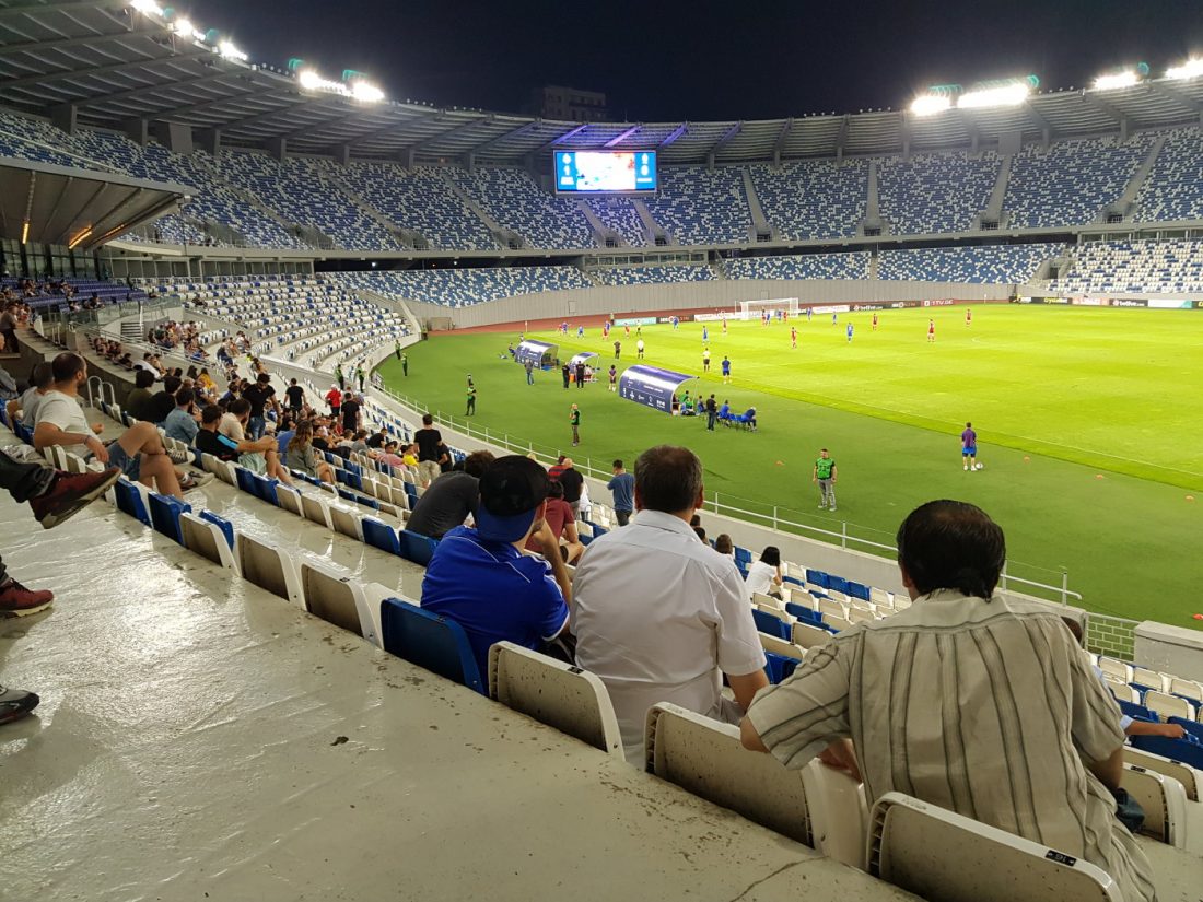 Boris Paichadze Dinamo Arena